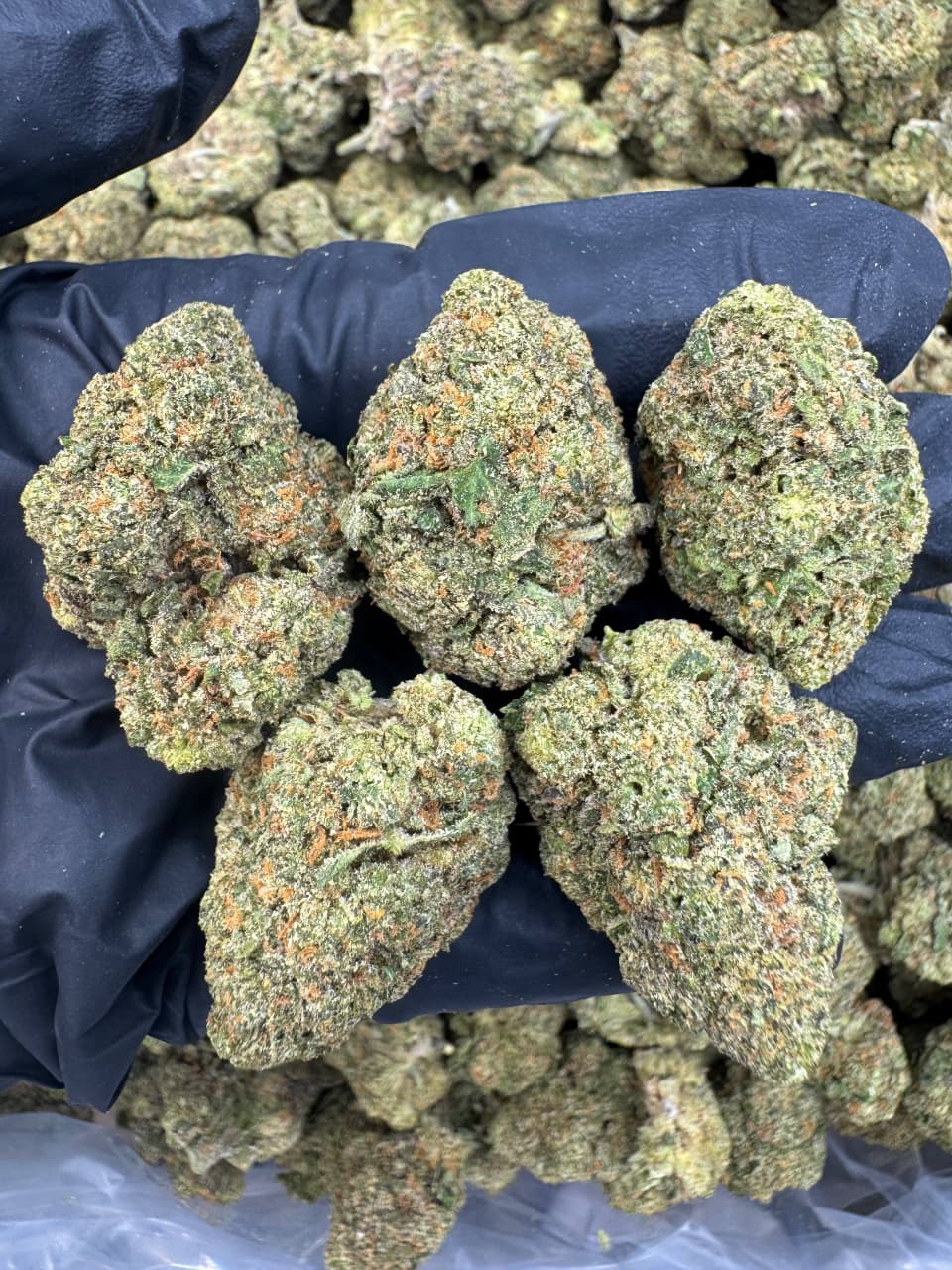 24K