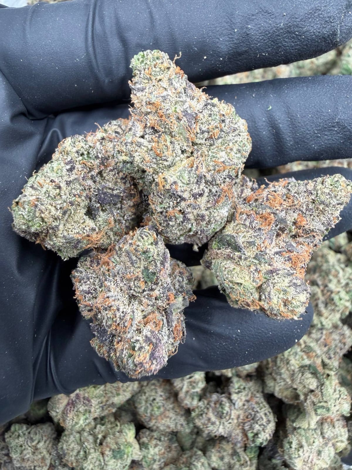 Blue Skittlez