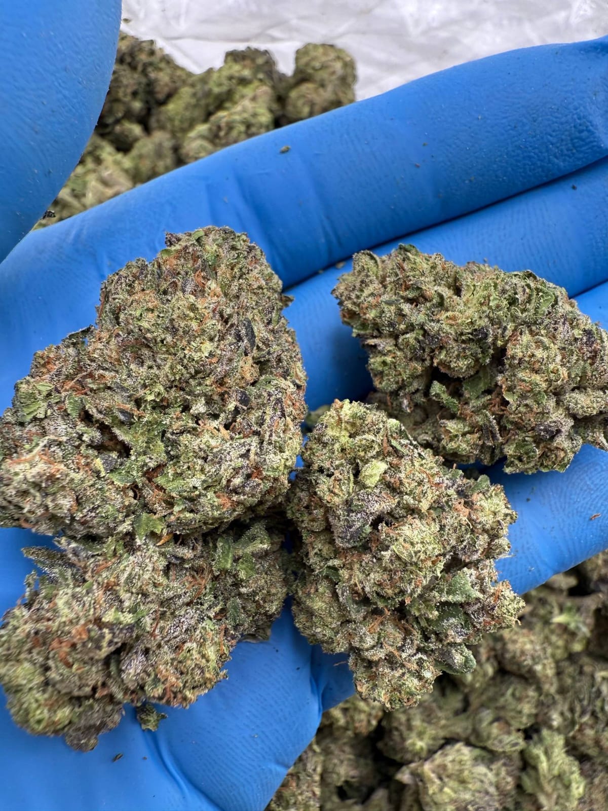 Sour Candy